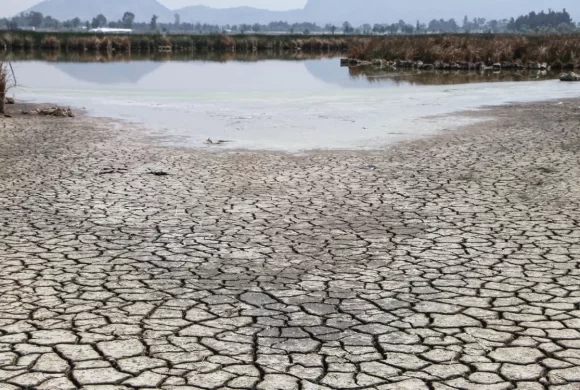 Ahora, las sequías son prácticamente estacionales y anuales: Agua Capital | Video