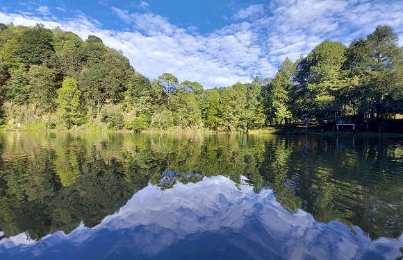 Bosques del futuro| Bosques vivos para garantizar el agua del mañana