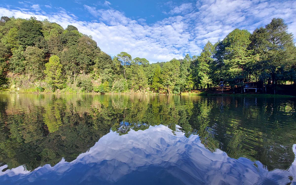 Bosques del futuro| Bosques vivos para garantizar el agua del mañana Bosques del futuro| Bosques vivos para garantizar el agua del mañana