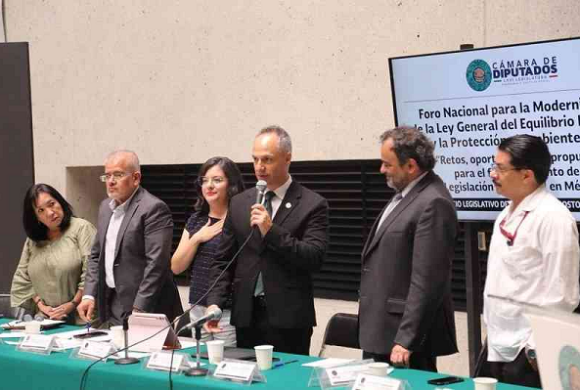 En los últimos 25 años se han perdido 5 millones de hectáreas de bosques y selvas en México: Jesús Cuanalo