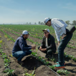 P&G y Kilimo impulsan proyecto para devolver más de 1,000 millones de litros de agua al Valle de México