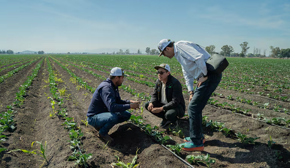 P&G y Kilimo impulsan proyecto para devolver más de 1,000 millones de litros de agua al Valle de México