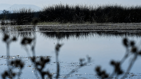 Mientras CDMX busca agua, 60 metros cúbicos por segundo de aguas residuales llegan al Valle del Mezquital