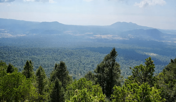 Bosque de Agua: el sistema natural que abastece de agua a millones de personas en CDMX